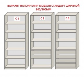 Шкаф распашной серия «ЗЕВС» (PL3/С1/PL2) в Коротчаево - korotchaevo.mebel24.online | фото 6