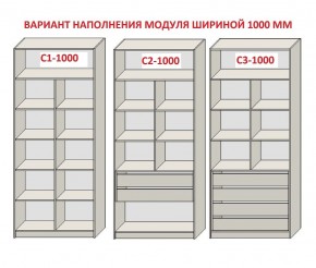 Шкаф распашной серия «ЗЕВС» (PL3/С1/PL2) в Коротчаево - korotchaevo.mebel24.online | фото 7