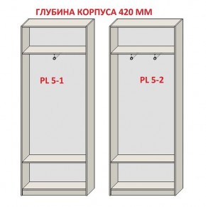 Шкаф распашной серия «ЗЕВС» (PL3/С1/PL2) в Коротчаево - korotchaevo.mebel24.online | фото 8