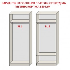 Шкаф распашной серия «ЗЕВС» (PL3/С1/PL2) в Коротчаево - korotchaevo.mebel24.online | фото 9