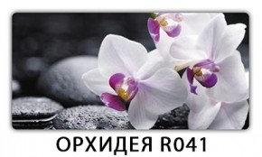 Стол обеденный Паук кофе Орхидея R041 в Коротчаево - korotchaevo.mebel24.online | фото 6