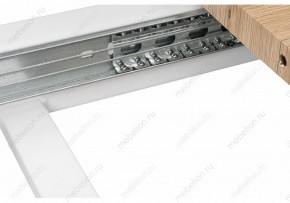 Стол обеденный Санса 120 в Коротчаево - korotchaevo.mebel24.online | фото 10