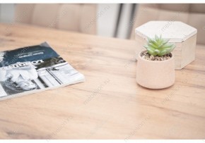 Стол обеденный Тринити Лофт 120 в Коротчаево - korotchaevo.mebel24.online | фото 6