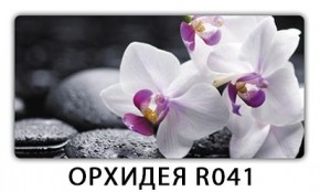 Стол раздвижной Бриз кофе Доска D112 в Коротчаево - korotchaevo.mebel24.online | фото 14