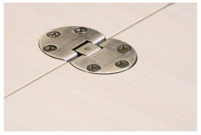 Стол-трансформер Престиж в Коротчаево - korotchaevo.mebel24.online | фото 10