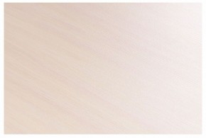 Стол-трансформер Престиж в Коротчаево - korotchaevo.mebel24.online | фото 8