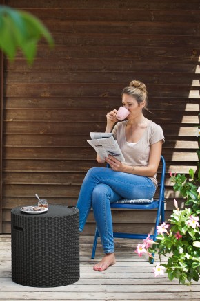 Столик-холодильник Кул-Стул (Cool stool) коричневый в Коротчаево - korotchaevo.mebel24.online | фото 2