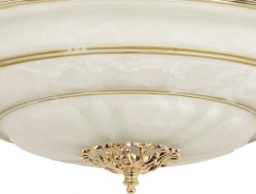 Светильник на штанге Arti Lampadari Pavia Pavia E 1.13.P40 G в Коротчаево - korotchaevo.mebel24.online | фото 3