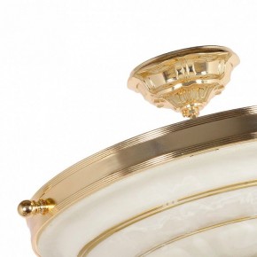 Светильник на штанге Arti Lampadari Pavia Pavia E 1.13.P40 G в Коротчаево - korotchaevo.mebel24.online | фото 4
