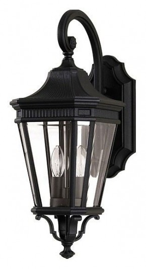 Светильник на штанге Feiss Cotswold Lane FE-COTSLN2-M-BK в Коротчаево - korotchaevo.mebel24.online | фото