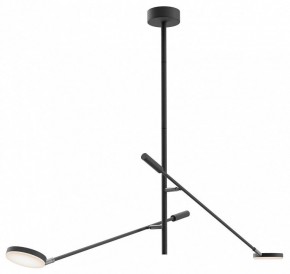 Светильник на штанге Maytoni Fad MOD070CL-L15B3K1 в Коротчаево - korotchaevo.mebel24.online | фото