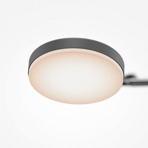 Светильник на штанге Maytoni Fad MOD070CL-L15B3K1 в Коротчаево - korotchaevo.mebel24.online | фото 7