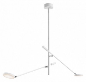 Светильник на штанге Maytoni Fad MOD070CL-L15W3K1 в Коротчаево - korotchaevo.mebel24.online | фото