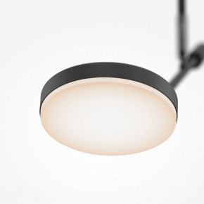 Светильник на штанге Maytoni Fad MOD070CL-L8B3K в Коротчаево - korotchaevo.mebel24.online | фото 4