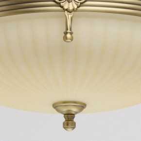 Светильник на штанге MW-Light Афродита 1 317011504 в Коротчаево - korotchaevo.mebel24.online | фото 4