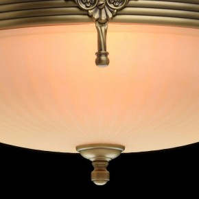 Светильник на штанге MW-Light Афродита 1 317011504 в Коротчаево - korotchaevo.mebel24.online | фото 5