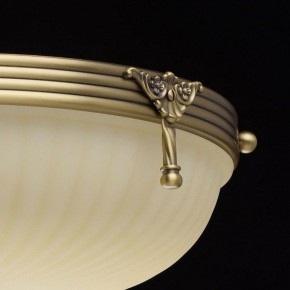 Светильник на штанге MW-Light Афродита 1 317011504 в Коротчаево - korotchaevo.mebel24.online | фото 8