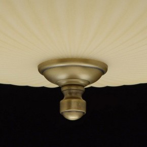 Светильник на штанге MW-Light Афродита 1 317011504 в Коротчаево - korotchaevo.mebel24.online | фото 9