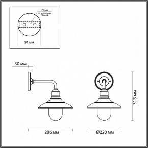 Светильник на штанге Odeon Light Campa 4965/1W в Коротчаево - korotchaevo.mebel24.online | фото 4