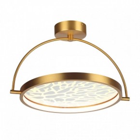 Светильник на штанге Odeon Light Solaris 6627/36CL в Коротчаево - korotchaevo.mebel24.online | фото 3