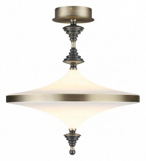 Светильник на штанге Odeon Light Ula 5404/43CL в Коротчаево - korotchaevo.mebel24.online | фото 2