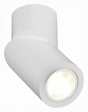 Светильник на штанге ST-Luce ST650 ST650.502.01 в Коротчаево - korotchaevo.mebel24.online | фото 3