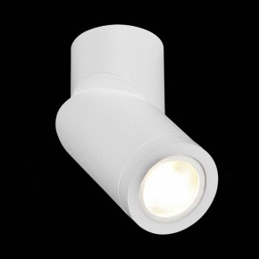Светильник на штанге ST-Luce ST650 ST650.502.01 в Коротчаево - korotchaevo.mebel24.online | фото 4