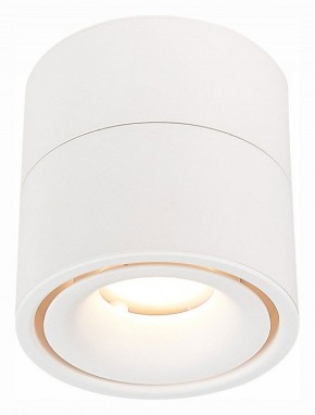 Светильник на штанге ST-Luce ST652 ST652.532.12 в Коротчаево - korotchaevo.mebel24.online | фото 2