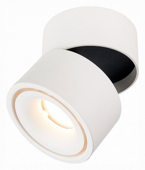 Светильник на штанге ST-Luce ST652 ST652.532.12 в Коротчаево - korotchaevo.mebel24.online | фото 3
