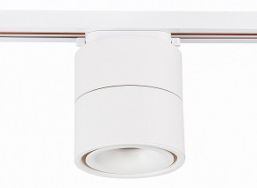 Светильник на штанге ST-Luce ST652 ST652.546.12 в Коротчаево - korotchaevo.mebel24.online | фото 2
