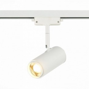 Светильник на штанге ST-Luce Zoom ST600.536.12 в Коротчаево - korotchaevo.mebel24.online | фото 2
