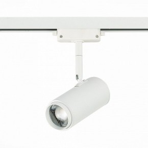 Светильник на штанге ST-Luce Zoom ST600.536.12 в Коротчаево - korotchaevo.mebel24.online | фото 3
