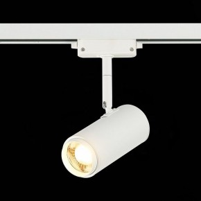 Светильник на штанге ST-Luce Zoom ST600.536.12 в Коротчаево - korotchaevo.mebel24.online | фото 4