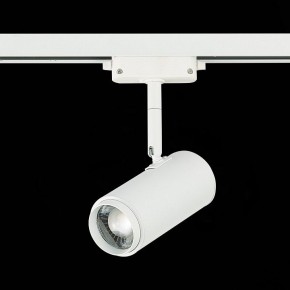Светильник на штанге ST-Luce Zoom ST600.536.12 в Коротчаево - korotchaevo.mebel24.online | фото 5