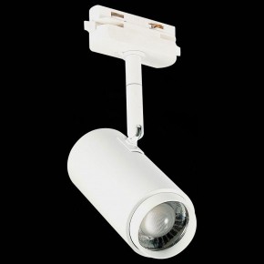Светильник на штанге ST-Luce Zoom ST600.536.12 в Коротчаево - korotchaevo.mebel24.online | фото 6