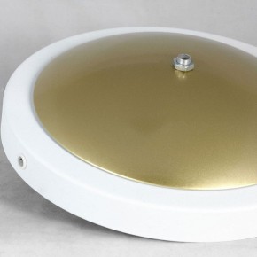 Торшер Lussole LSP-062 LSP-0625 в Коротчаево - korotchaevo.mebel24.online | фото 2
