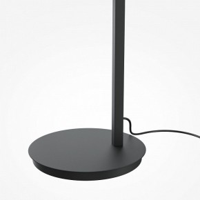 Торшер Maytoni Emphaty MOD363FL-L14B3K в Коротчаево - korotchaevo.mebel24.online | фото 5