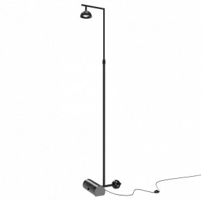 Торшер Maytoni Pikant MOD372FL-L10B3K в Коротчаево - korotchaevo.mebel24.online | фото