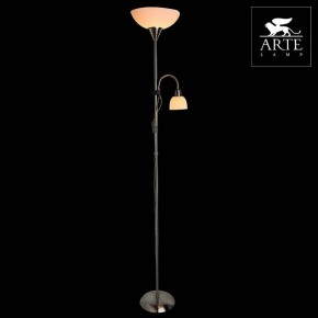 Торшер с подсветкой Arte Lamp Duetto A9569PN-2SS в Коротчаево - korotchaevo.mebel24.online | фото 3