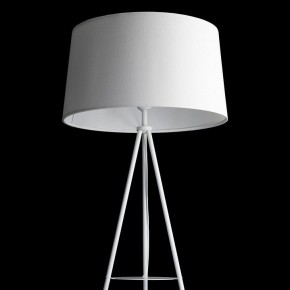 Торшер с полкой Citilux Рейнер CL806020 в Коротчаево - korotchaevo.mebel24.online | фото 7