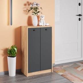 Тумба для обуви Рино в Коротчаево - korotchaevo.mebel24.online | фото 3