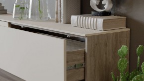 Тумба под ТВ Порто СМ-393.03.011 в Коротчаево - korotchaevo.mebel24.online | фото 6