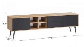 Тумба под ТВ Тип 5 в Коротчаево - korotchaevo.mebel24.online | фото 6