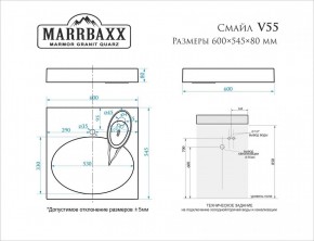 Умывальник над стиральной машиной (600*545*80) Смайл V55D1 (белый) с кронштейном без сифона (V55D1) в Коротчаево - korotchaevo.mebel24.online | фото 2