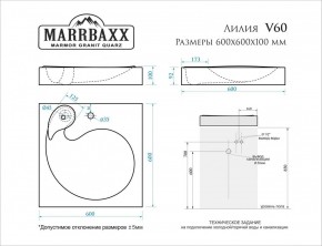 Умывальник над стиральной машиной (600*600х100) Лилия V60 (белый) с кронштейном без сифона (V60) в Коротчаево - korotchaevo.mebel24.online | фото 2