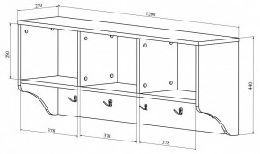 Вешалка-полка ДримСтар ДС-30 в Коротчаево - korotchaevo.mebel24.online | фото 3